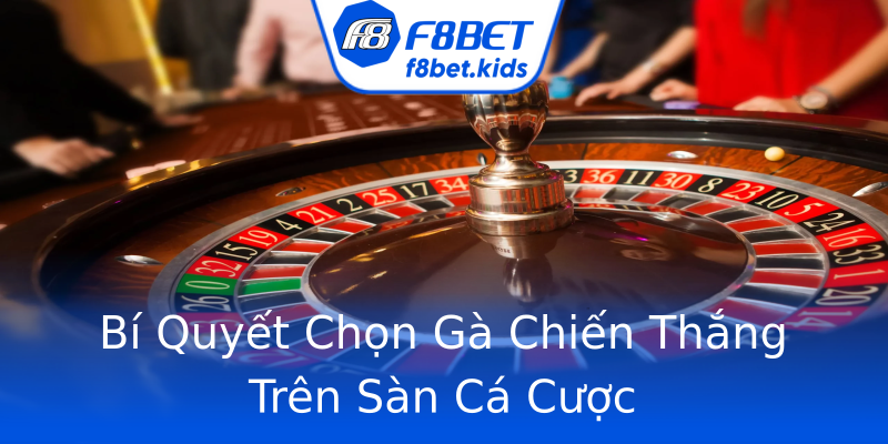 Bí Quyết Chọn Gà Chiến Thắng Trên Sàn Cá Cược Bí Quyết Chọn Gà Chiến Thắng Trên Sàn Cá Cược