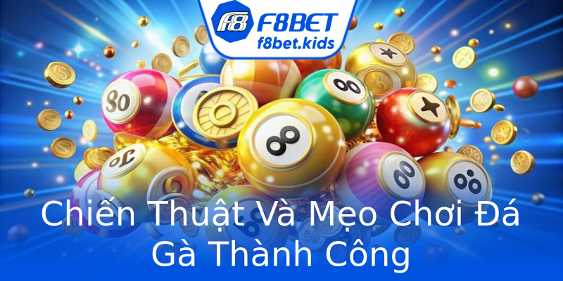 Chiến Thuật Và Mẹo Chơi Đá Gà Thành Công Chiến Thuật Và Mẹo Chơi Đá Gà Thành Công