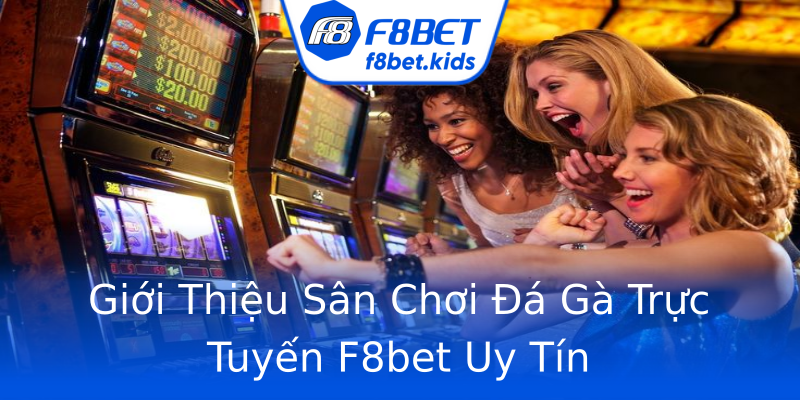 Giới Thiệu Sân Chơi Đá Gà Trực Tuyến F8bet Uy Tín Giới Thiệu Sân Chơi Đá Gà Trực Tuyến F8bet Uy Tín