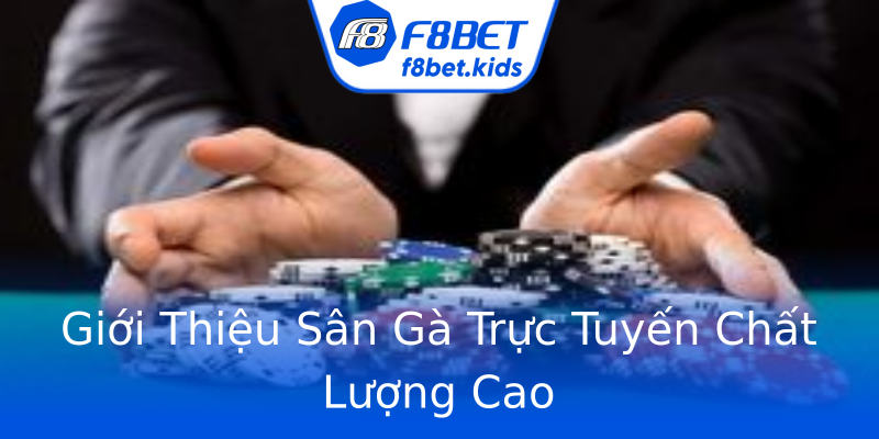 Giới Thiệu Sân Gà Trực Tuyến Chất Lượng Cao