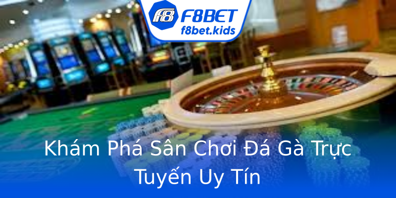 Khám Phá Sân Chơi Đá Gà Trực Tuyến Uy Tín Khám Phá Sân Chơi Đá Gà Trực Tuyến Uy Tín