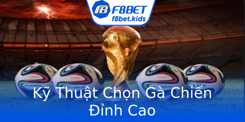 Kỹ Thuật Chọn Gà Chiến Đỉnh Cao Kỹ Thuật Chọn Gà Chiến Đỉnh Cao