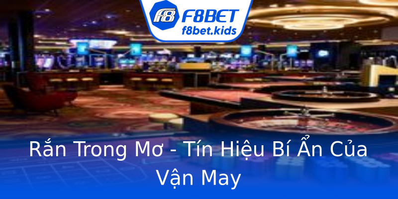 Rắn Trong Mơ - Tín Hiệu Bí Ẩn Của Vận May Rắn Trong Mơ - Tín Hiệu Bí Ẩn Của Vận May