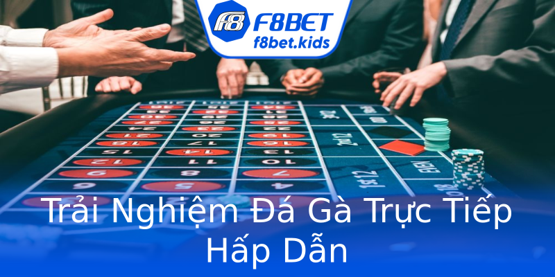 Trải Nghiệm Đá Gà Trực Tiếp Hấp Dẫn Trải Nghiệm Đá Gà Trực Tiếp Hấp Dẫn