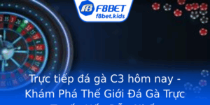 Truc Tiep A Ga C3 Hom Nay Kham Pha The Gioi A Ga Truc Tuyen Hap Dan Nhat