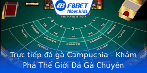 Truc Tiep A Ga Campuchia Kham Pha The Gioi A Ga Chuyen Nghiep Tai F8Bet