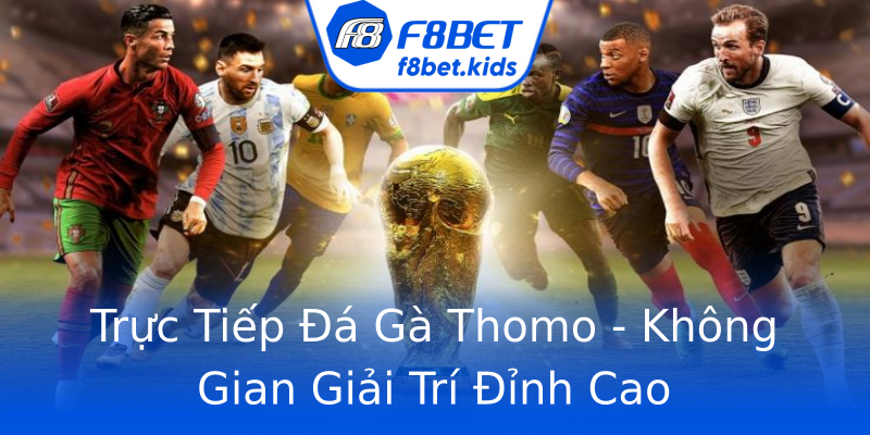 Trực Tiếp Đá Gà Thomo - Không Gian Giải Trí Đỉnh Cao Trực Tiếp Đá Gà Thomo - Không Gian Giải Trí Đỉnh Cao